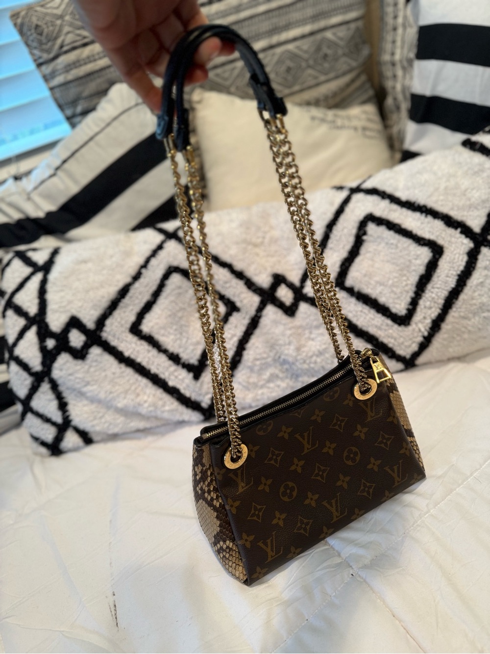 Louis Vuitton Monogram & Genuine Python Chain Shoulder Bag – Rare